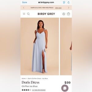 NWT NEVER WORN Birdy Grey Bridesmaid Dress, Doris Ice Blue